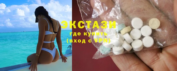 индика Мегион