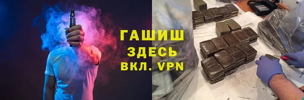 индика Мегион