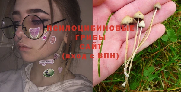 мяу мяу мука Алзамай
