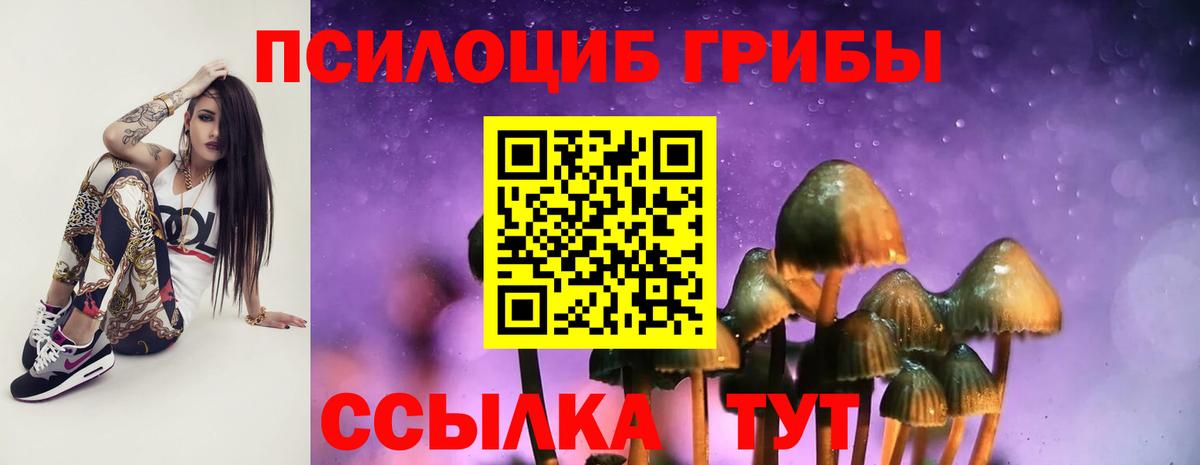 Галлюциногенные грибы прущие грибы Копейск