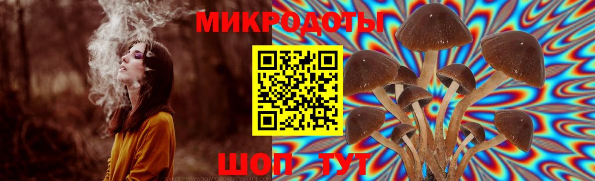 Псилоцибиновые грибы мухоморы  Вход с VPN  Копейск 